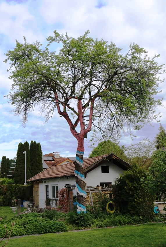 Corona-Baum Corona-Baum