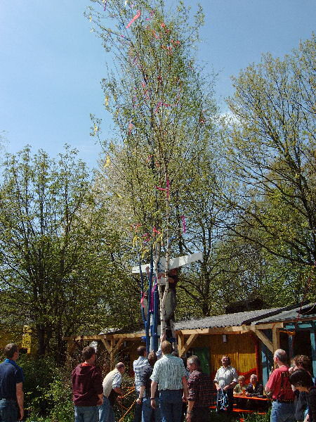 lebensbaum-2006-07